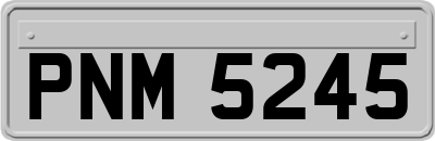 PNM5245