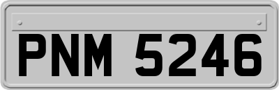 PNM5246