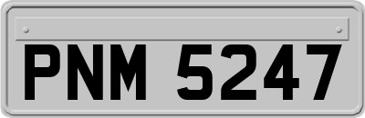 PNM5247