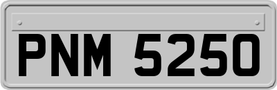 PNM5250