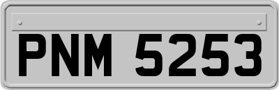 PNM5253