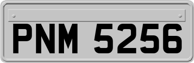 PNM5256