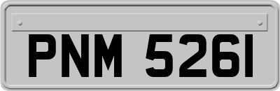 PNM5261