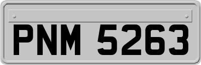 PNM5263