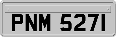 PNM5271
