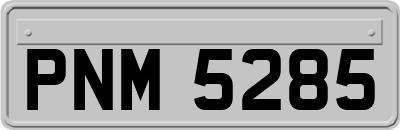 PNM5285