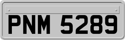 PNM5289