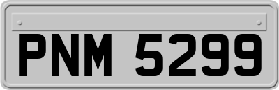 PNM5299