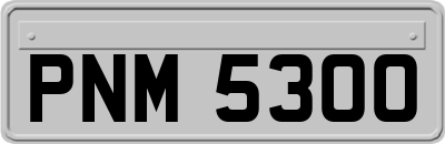 PNM5300