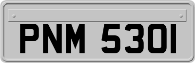 PNM5301
