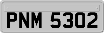 PNM5302