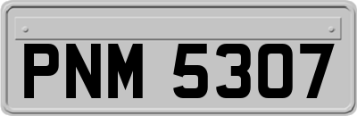 PNM5307
