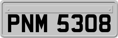 PNM5308