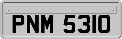 PNM5310