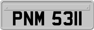 PNM5311