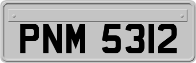 PNM5312