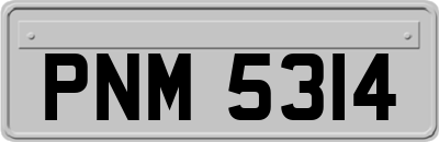 PNM5314