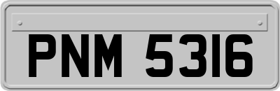 PNM5316
