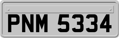 PNM5334