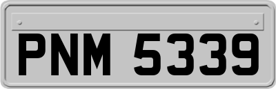 PNM5339