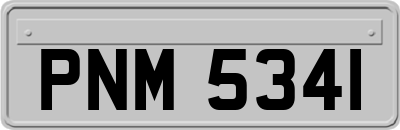 PNM5341
