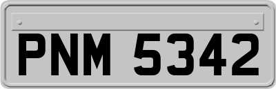 PNM5342