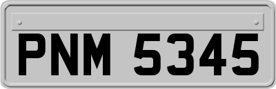 PNM5345