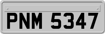 PNM5347