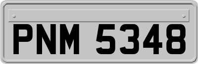 PNM5348