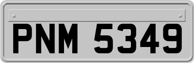 PNM5349