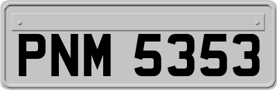 PNM5353