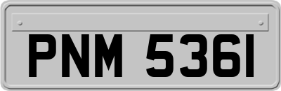 PNM5361