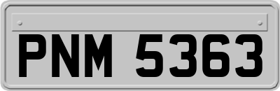 PNM5363