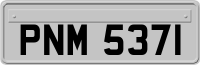 PNM5371