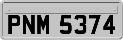 PNM5374