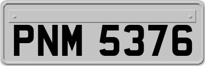 PNM5376