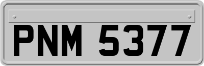 PNM5377
