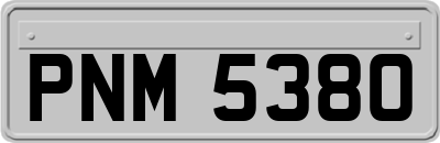 PNM5380