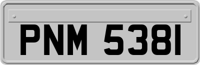 PNM5381