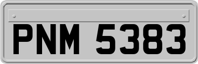 PNM5383