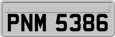 PNM5386