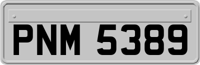 PNM5389