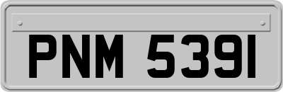 PNM5391