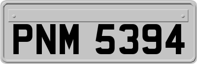 PNM5394