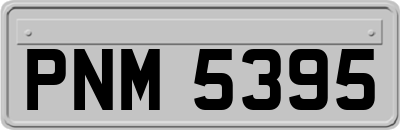 PNM5395