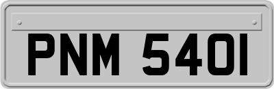 PNM5401