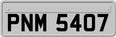 PNM5407