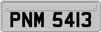 PNM5413