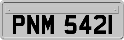 PNM5421