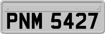 PNM5427